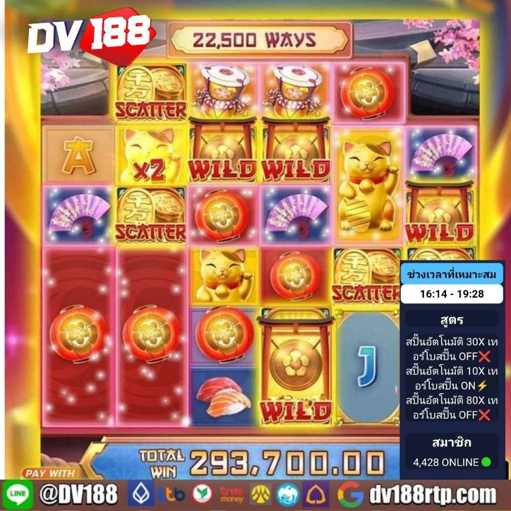 slotbet online แพลตฟอร์มคาสิโนเปิดใหม่ สร้างรายได้ด้วยเกมหลากหลาย