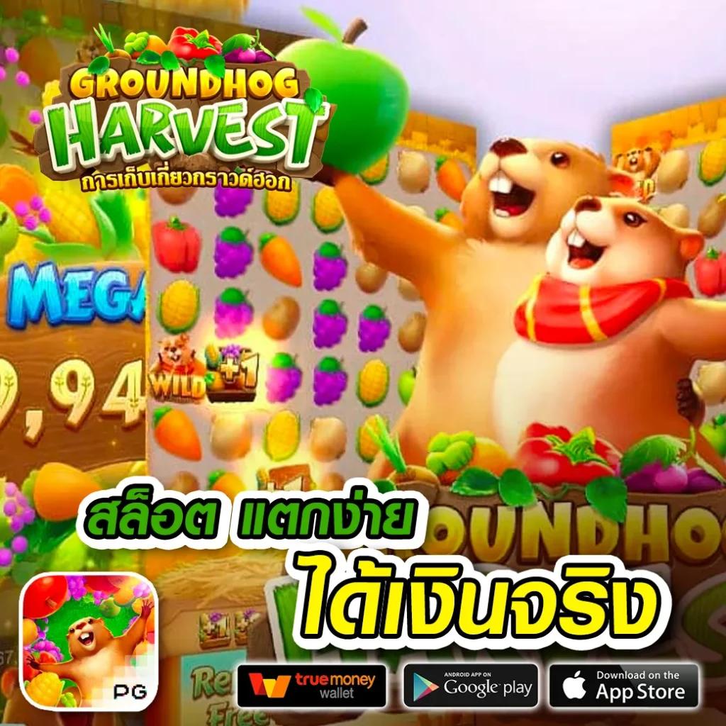 ทดลองสล็อต เว็บตรง เว็บเล่นง่ายได้เงินจริง โบนัสแตกบ่อย