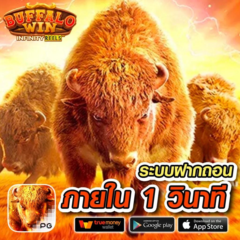 บ้านเซียนบอล เว็บเดิมพันอันดับหนึ่ง รวมเทคนิคชั้นนำในไทย