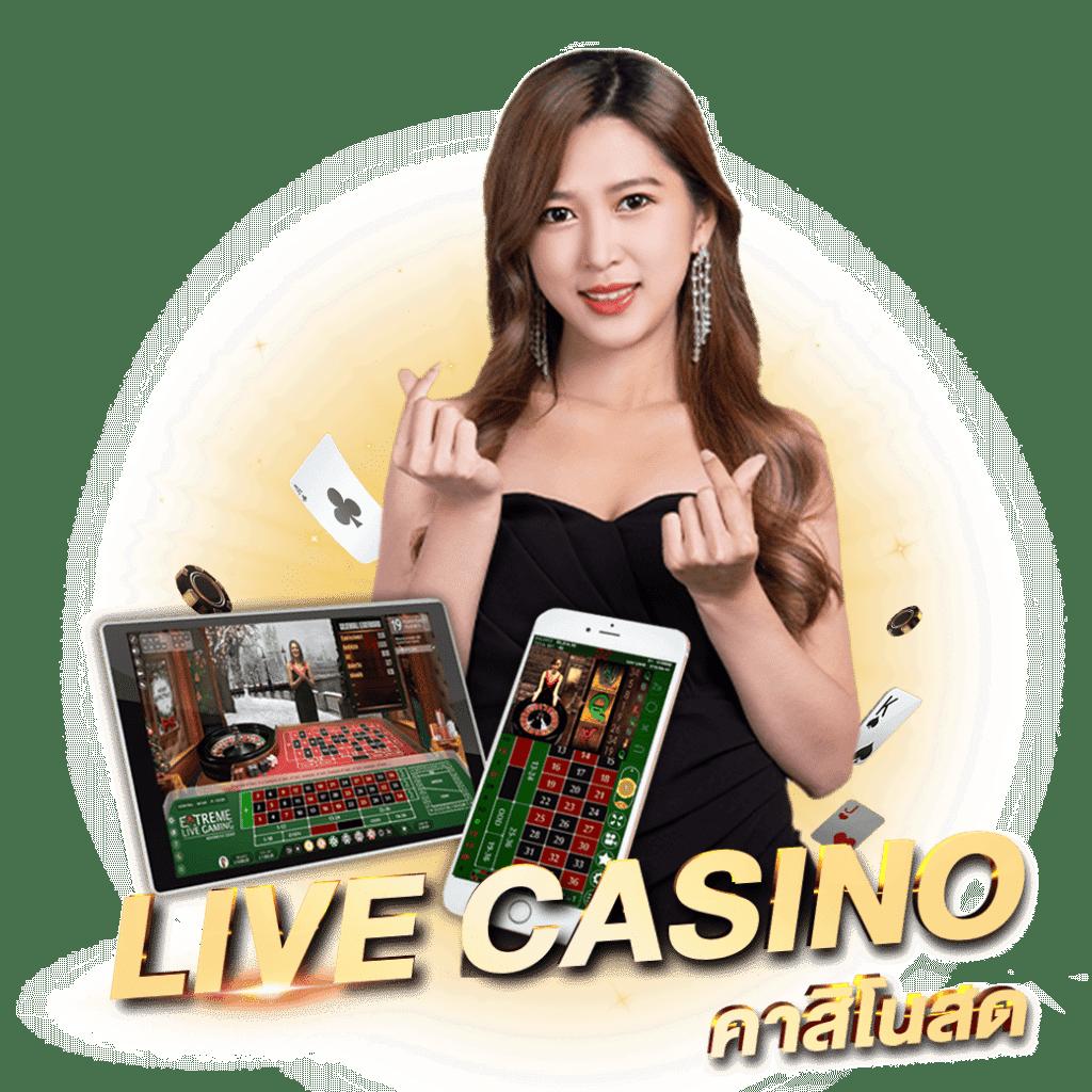 เว็บแคท888 คาสิโนออนไลน์ครบวงจร เว็บตรง มั่นใจปลอดภัย โปรโมชั่นจัดเต็ม